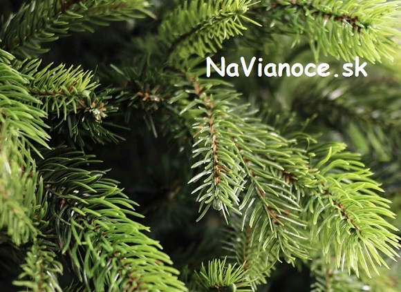 3d moderné vianočné ihličie na vianočných stromčekoch